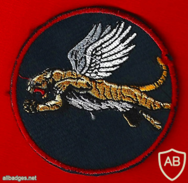 The Flying Tiger Squadron - 102nd Squadron img65951