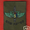 931st Shaham battalion auxiliary company