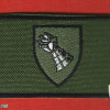 Iron Fist brigade (200, 205, 514 ) img66105