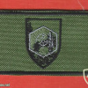 חיל הגנת הגבולות img66108