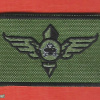 Duchifat battalion img66126