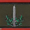 Battalion Rotem img66119