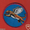Flying Tiger squadron 102