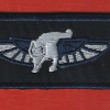 Air Rescue unit name badge prototype