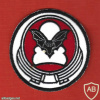 119th squadron The Bat