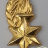 Graduate of the senior officers course - Golden