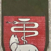 Medical Corps - Southern Command