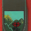 91st Galilee division