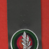 Field forces command