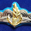 Naval officer ( A unique badge for an alumni meeting naval officer "naval house" )