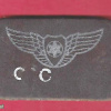 Leather pilot wings for air crew leather jacket