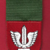חטיבת כפיר - חטיבה- 900 img67369