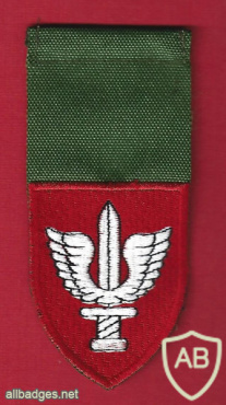 Kfir brigade - 900th Brigade img67369