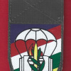 ביסלמ"ח ( בית הספר למפקדי כיתות ומקצועות חיל הרגלים ) - חטיבה- 828