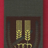 Negev Brigade - 12nd Brigade