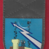 372nd Segev battalion
