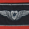 Pilot name badge