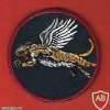 The flying tiger squadron - 102nd Squadron