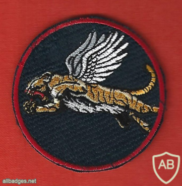 The flying tiger squadron - 102nd Squadron img67755