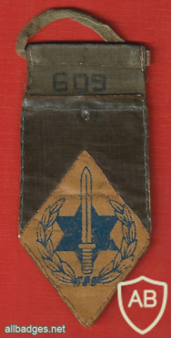חטיבת אלכסנדרוני - חטיבה- 3 חי"ר ( מילואים ) img67882