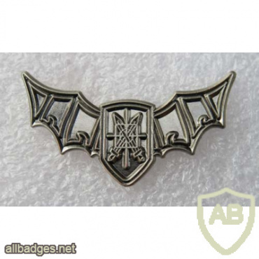 Unidentified badge- 29 img67905
