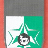 Intelligence directorate southern command