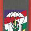 ביסלמ"ח ( בית הספר למפקדי כיתות ומקצועות חיל הרגלים ) - חטיבה- 828