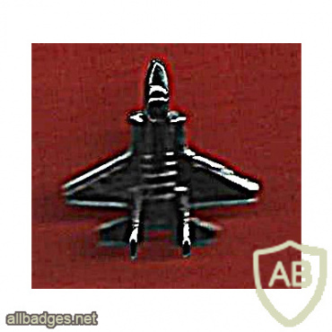 The Adir F- 35 plane img68302