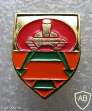 46th Shelah battalion- 401st Brigade img68395