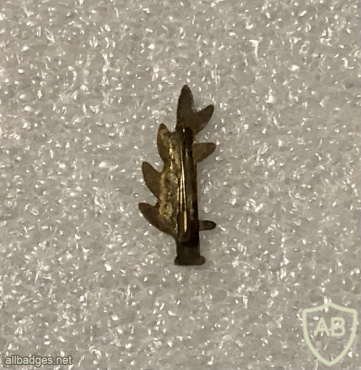 Platoon commander img68431