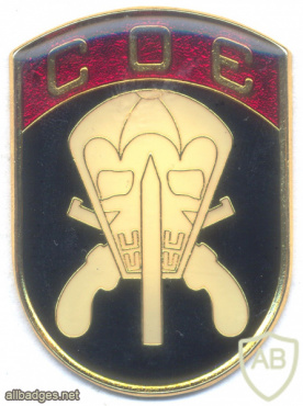 BRAZIL Police - Special Operations Company (COE) beret badge img68466