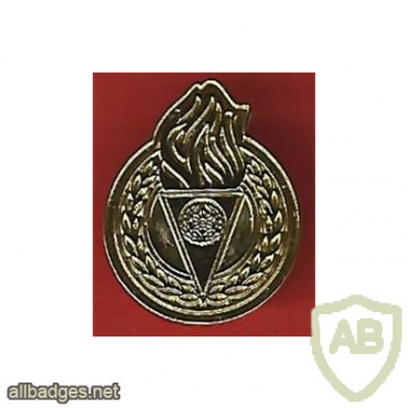 Guide badge - Golden img68485