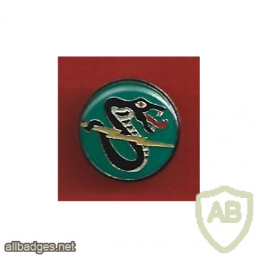 The Second Combat helicopters Squadron ( Black Snake Squadron ) - Squadron- 161 img68588