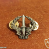 FIJI infantry regiment combat badge img68578