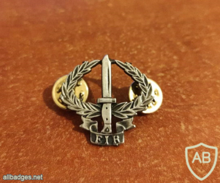 FIJI infantry regiment combat badge img68578