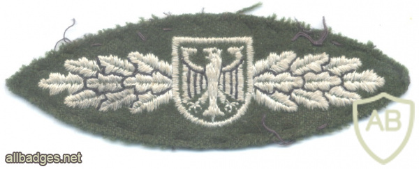 GERMANY Grenzschutzgruppe 9 GSG9 Counter-Terrorism Police Unit badge img68598