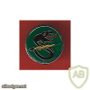 The Second Combat helicopters Squadron ( Black Snake Squadron ) - Squadron- 161 img68621