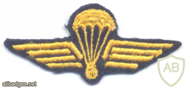 Swiss Air Force Parachutist Reconnaissance Qualification Wings, cloth img68637