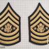 Sergeant Major of the Army ( SMA )