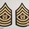 Command Sergeant Major ( CSM )