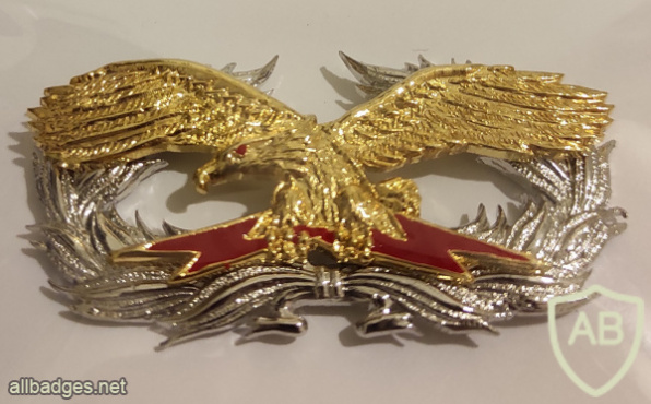 חיל האוויר המלכותי התאילנדי - הכוחות המיוחדים img68831