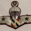 Royal thai police parachute jump wings