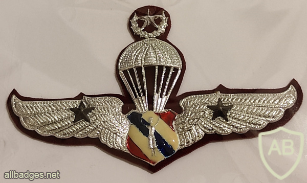 Royal thai police parachute jump wings img68829