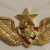 Крылья экипажа старшего командира армии Таиланда