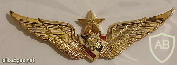 Thai army senior command engineer aircrew wings img68849