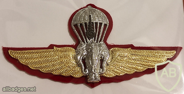 Thai army parachute wings - second class img68848