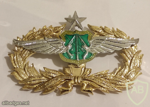 Thailand royal air force aviator wings - Senior img68841