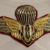 Royal thai army para sail parachute wings