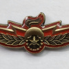 Appreciation badge for veterans of the Bomb disposal squad