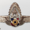 Royal thai army pilot wings - Master img68875